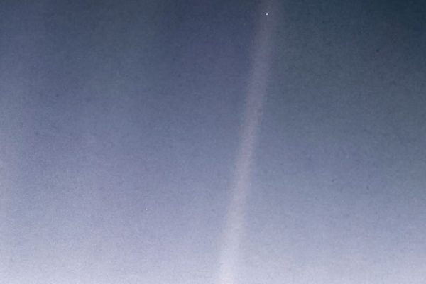 Pale Blue Dot – Homo Vitruvius by A. Jay Adler