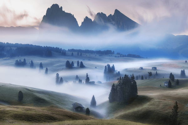 Crafting Atmospheric Photos with Fog and Mist