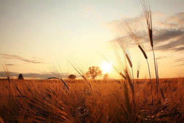 Humorous, Constructive and Lovely Sayings for The Final Days of Summer time