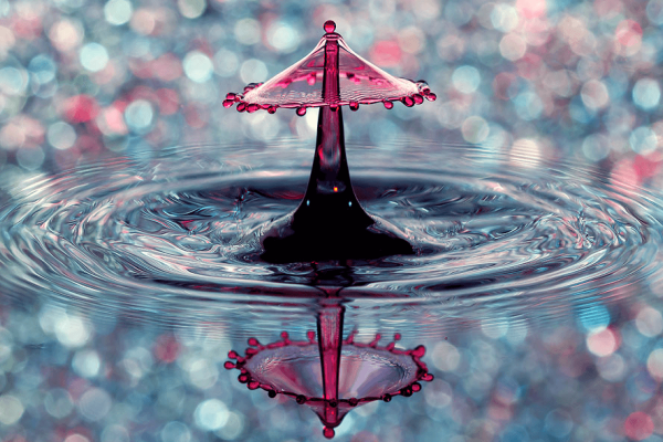 Capturing the Second: Mastering Excessive-Velocity Pictures